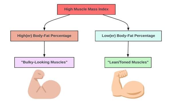 Muscle Mass and Bone Strength: How to Maintain a Healthy Balance
