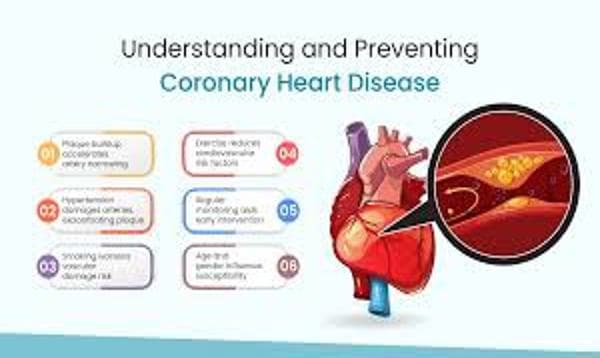 Coronary Heart Disease Risk Calculator – Know Your Heart Health